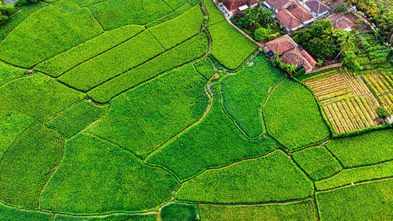 Steps to Buying a Plot in India – A Beginner’s Guide